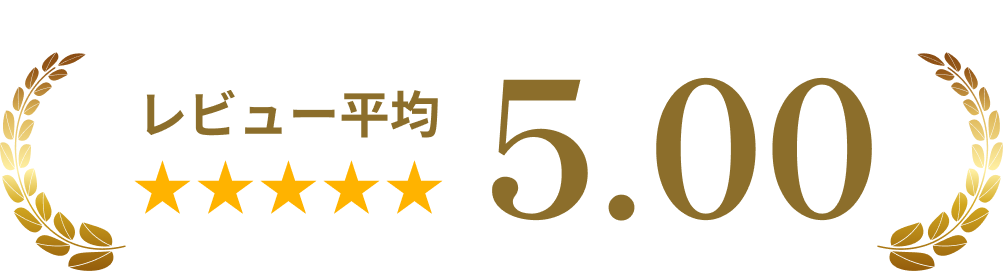 レビュー平均5.00